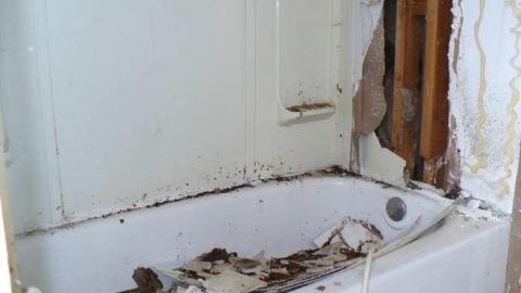 Edge of Edgar - Old-Barrie-Road88.jpg