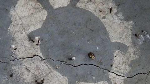 Aug 2013 Visit - Oshweken-Gas-Station13.jpg