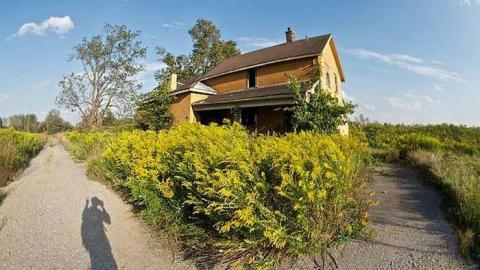 Gallery - Rebecca-Road158.jpg