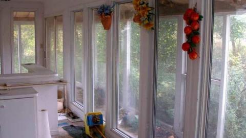 The Apple Of My Eye - Abandoned-Cat-Lady-House435.jpg