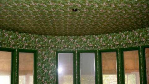 The Apple Of My Eye - Abandoned-Cat-Lady-House439.jpg