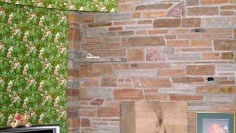 The Apple Of My Eye - Abandoned-Cat-Lady-House178.jpg