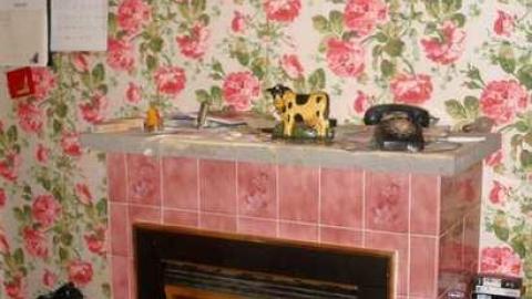 The Apple Of My Eye - Abandoned-Cat-Lady-House333.jpg