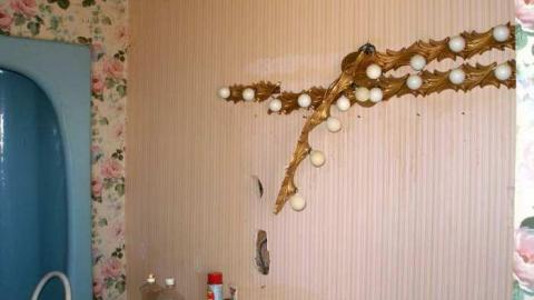 The Apple Of My Eye - Abandoned-Cat-Lady-House334.jpg