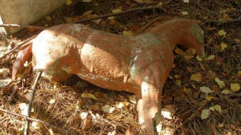 The Apple Of My Eye - Abandoned-Cat-Lady-House335.jpg