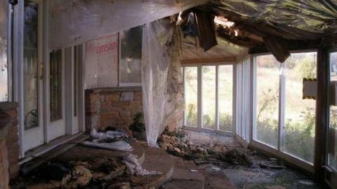 The Apple Of My Eye - Abandoned-Cat-Lady-House336.jpg