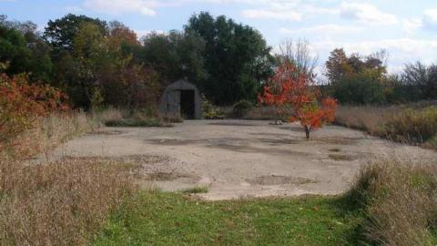 The Apple Of My Eye - Abandoned-Cat-Lady-House337.jpg