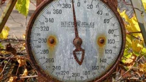 The Apple Of My Eye - Abandoned-Cat-Lady-House446.jpg