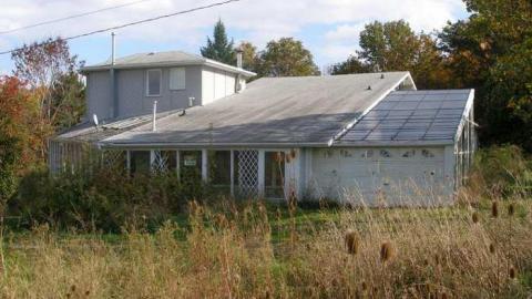 The Apple Of My Eye - Abandoned-Cat-Lady-House265.jpg