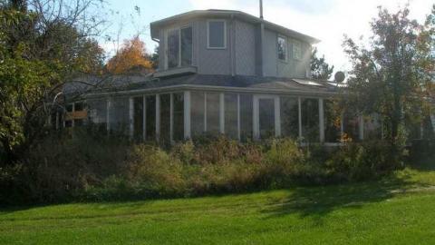 The Apple Of My Eye - Abandoned-Cat-Lady-House448.jpg