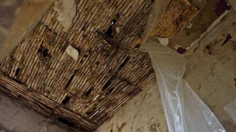 Gallery - Rebecca-Road173.jpg