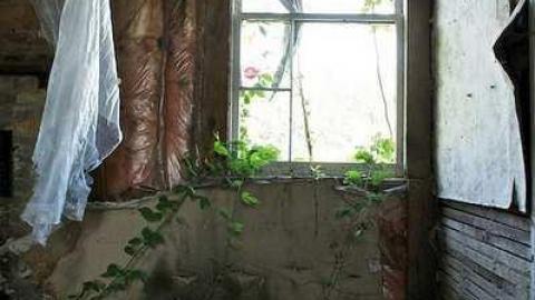 Gallery - Rebecca-Road176.jpg