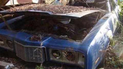 Graveyard - DSC01519.jpg