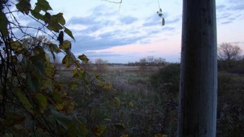 Photo from Flying Solo