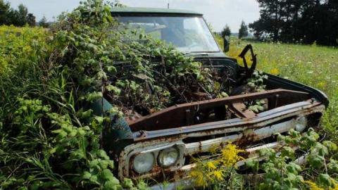 Aug2013 - Mother-Marys-Messy-Mansion130.jpg