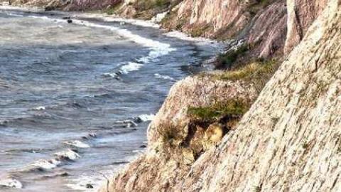 Mohawk Island photo 4