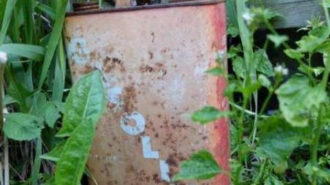 June2013 - Thorndale-Obsession22.jpg