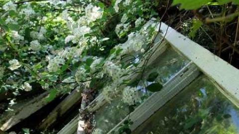 June2013 - Thorndale-Obsession20.jpg