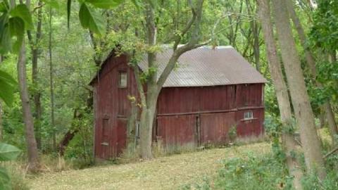 Napier - Napier-(ghost-town)21.jpg