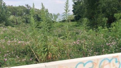 Spring Lovin' - Wet-And-Wild-Waterpark146.jpg