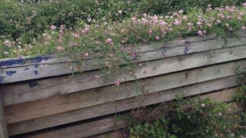 Spring Lovin' - Wet-And-Wild-Waterpark299.jpg