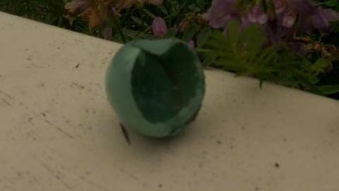 Spring Lovin' - Wet-And-Wild-Waterpark149.jpg