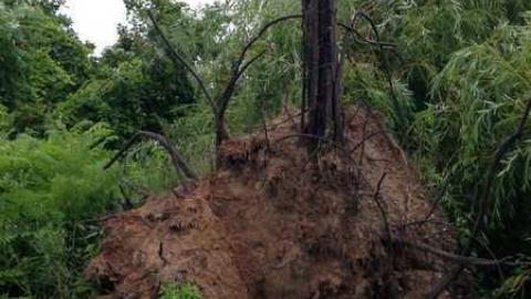 Spring Lovin' - Wet-And-Wild-Waterpark150.jpg