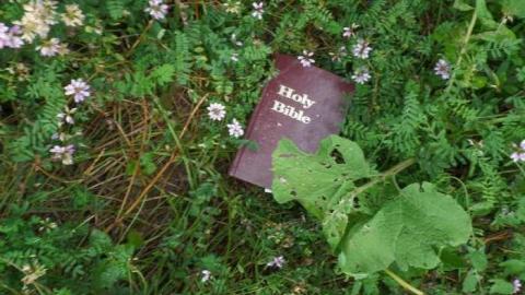 Spring Lovin' - Wet-And-Wild-Waterpark302.jpg