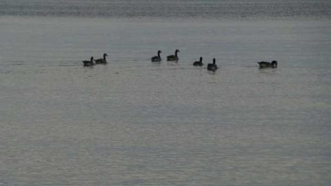 Spring Lovin' - Wet-And-Wild-Waterpark151.jpg