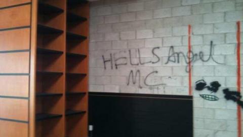 Photo from I'm Sorry Harley