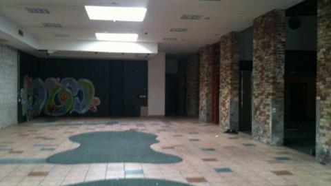 I'm Sorry Harley - IMG_3396.jpg