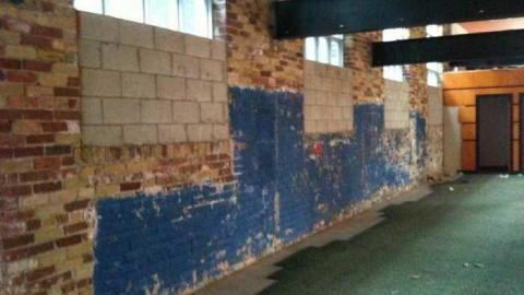 I'm Sorry Harley - IMG_3402.jpg