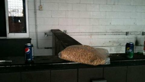 I'm Sorry Harley - IMG_3411.jpg