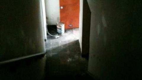 Photo from I'm Sorry Harley