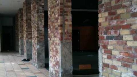 I'm Sorry Harley - IMG_3429.jpg