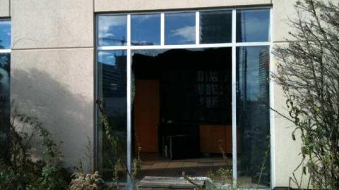 I'm Sorry Harley - IMG_3438.jpg