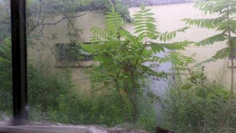 Fun Times  - SAM_1346.jpg