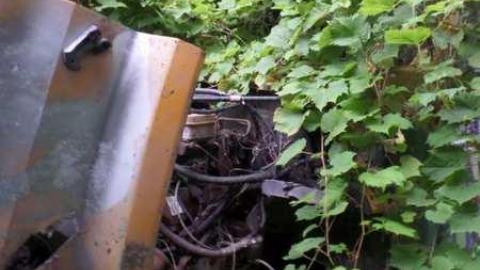 Fun Times  - SAM_1423.jpg