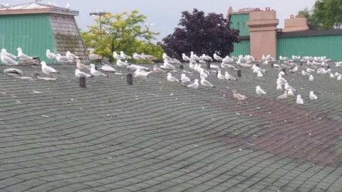 T&B - Prudhommes-Landing-Inn293.jpg