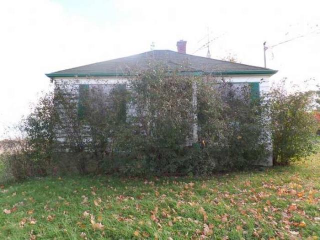 Little Guy - Halton Hills, Ontario