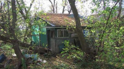 Pianola - IMG_3841.jpg