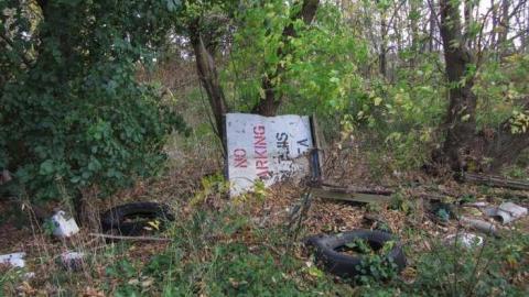 Pianola - IMG_3847.jpg