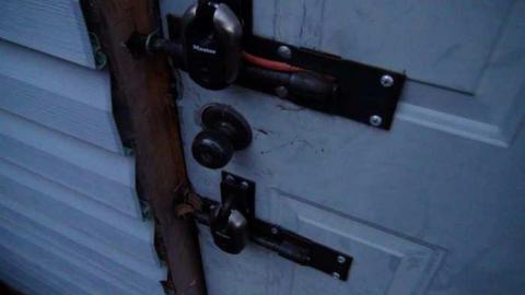 Oct, 2013 - H(ave)-A-Peacock2.jpg