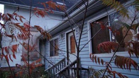 Oct, 2013 - H(ave)-A-Peacock3.jpg