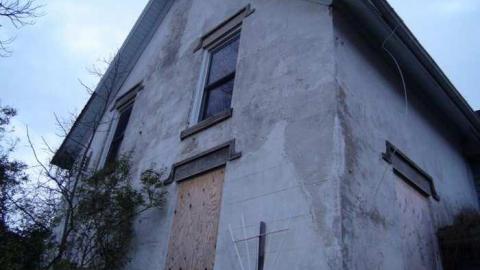 Oct, 2013 - H(ave)-A-Peacock4.jpg