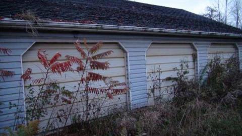 Oct, 2013 - H(ave)-A-Peacock5.jpg