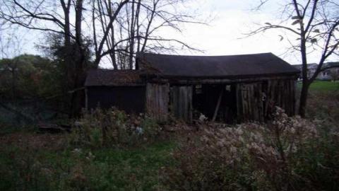 Oct, 2013 - H(ave)-A-Peacock6.jpg