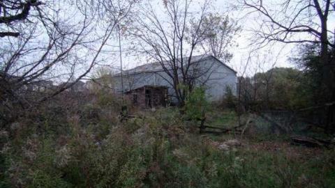 Oct, 2013 - H(ave)-A-Peacock7.jpg