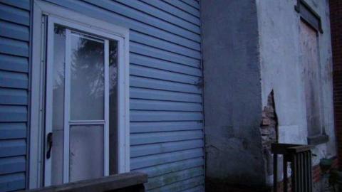 Oct, 2013 - H(ave)-A-Peacock8.jpg