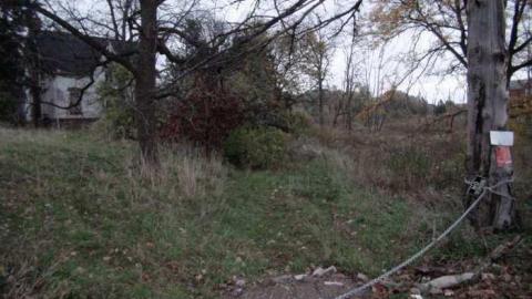 Oct, 2013 - H(ave)-A-Peacock12.jpg